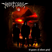 12 Years of Silent Grief