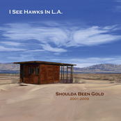 Shoulda Been Gold by I See Hawks In L.a.