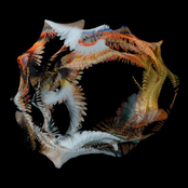 Waiting On Your Call