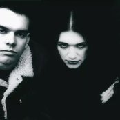 Placebo のアバター