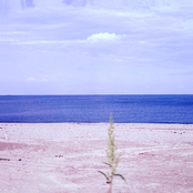 Longing Unto Sickness