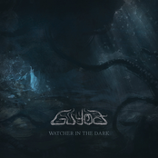 Watcher in the Dark (Single Edit)