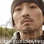 Labyrinth of Lovely Thing