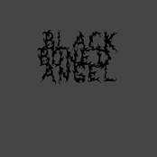 Bliss and Void Inseperable