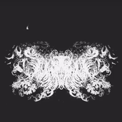 Amongst the Dead and Dying