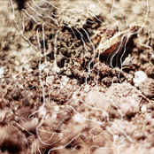 Interstellar teleporters anonymous