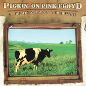 Pickin' on Pink Floyd: A Bluegrass Tribute