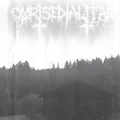 Detached From Human Spirit