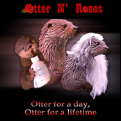 Otter N'roses