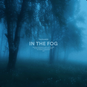 in the fog