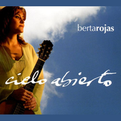 Berta Rojas: Cielo Abierto