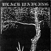 Through Eternal Winters