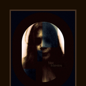 Orchideenkrieg (Demos '13)