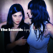 The Sounds: Dying to Say This to You