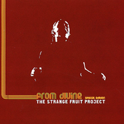 Aquatic Groove by Strange Fruit Project