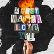 I Just Wanna Love You