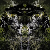 Home by Adai