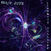 Brain Junk