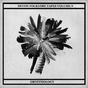 Devon Folklore Tapes V - Ornithology