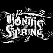 12 Months Of Spring