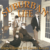 Suburban Life