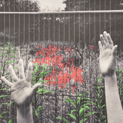 Crushing The Campsies