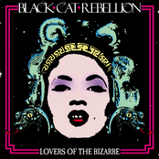 Lovers Of The Bizarre