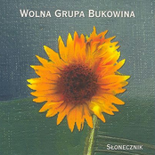 W Zagnańsku Opodal Dworca by Wolna Grupa Bukowina