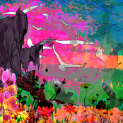 death animation