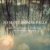 She Was Speaking From The Bottom Of The Sea - Single