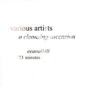 A Cleansing Ascension
