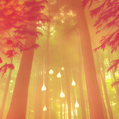 IGNIS FATUUS SOLARIS