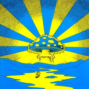 The Psychedelic Voyage