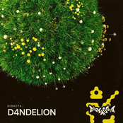 D4NDELION