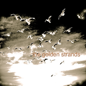 Thief In The Night EP