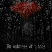 In darkness of woods