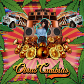 Obras Cumbias
