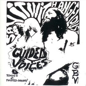 158 Years Of Beautiful Sex by Guided By Voices