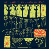 Hold Open My Head by Nai Harvest