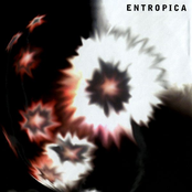 Entropica: Sonic Bloom Entropica Prolifica