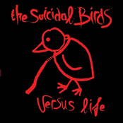 Sensible Sinners by The Suicidal Birds