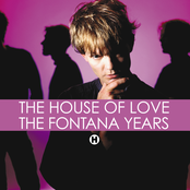 Last Edition Of Love by The House Of Love
