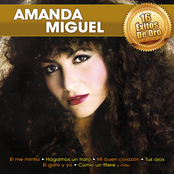 Amanda Miguel: 16 Éxitos De Oro