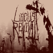 NO ONE WILL EVER LOVE YOU