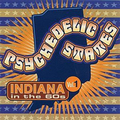 Psychedelic States: Indiana In The 60s Vol 1