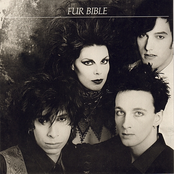 Fumble Fist by Fur Bible