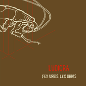 Veils by Ludicra