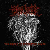 The Decay Of Forgotten Lives