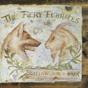 South Is Only A Home by The Fiery Furnaces