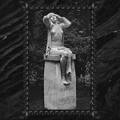 The Narcissist Cookbook: Moth